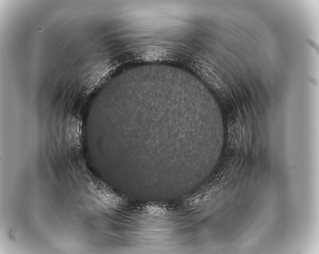 X0000093370592200710251155