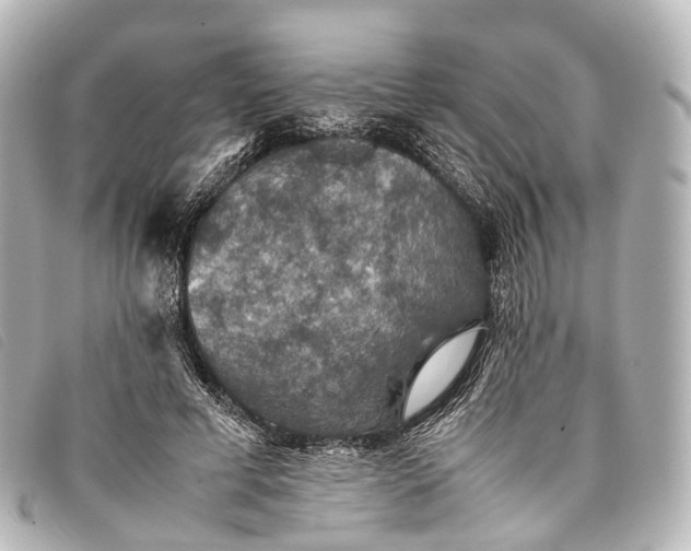 X0000093370593200710251155