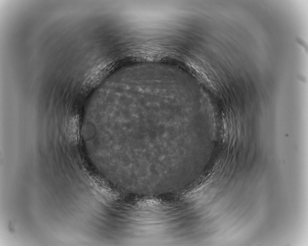 X0000093370594200710251155