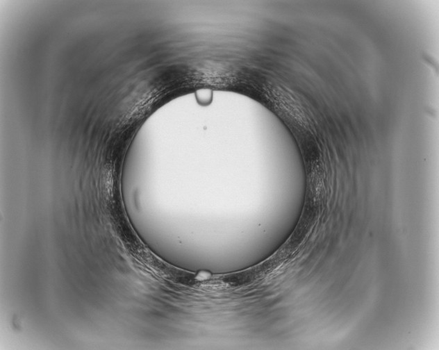 X0000093370595200710251155