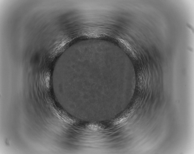 X0000093370596200710251155