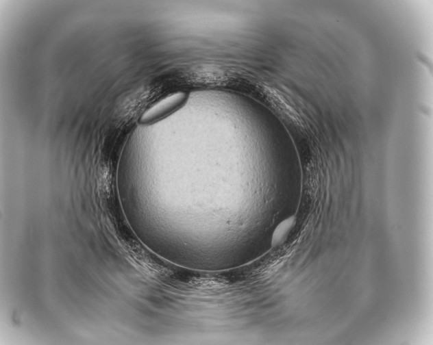 X0000093370597200710251155