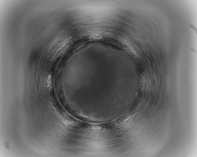 X0000093370598200710251155