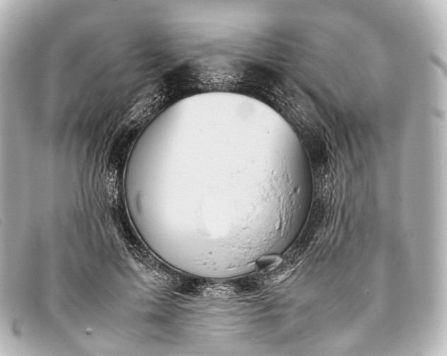 X0000093370599200710251155