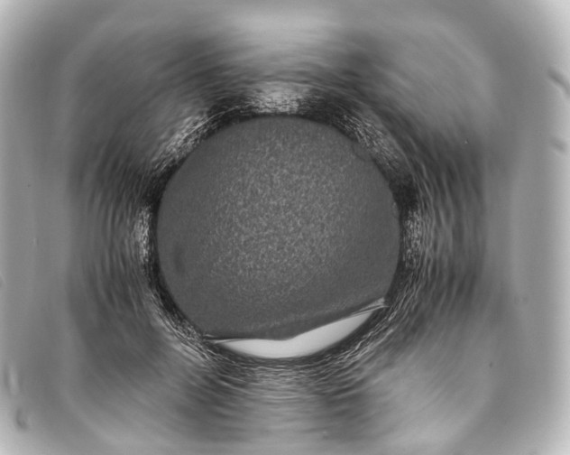 X0000093370600200710251155