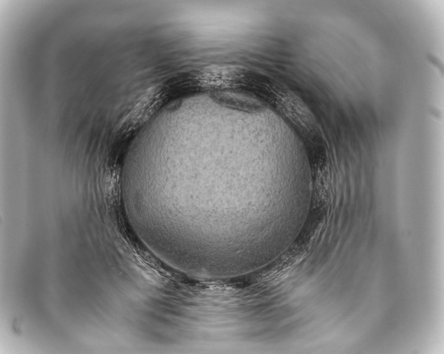 X0000093370601200710251155