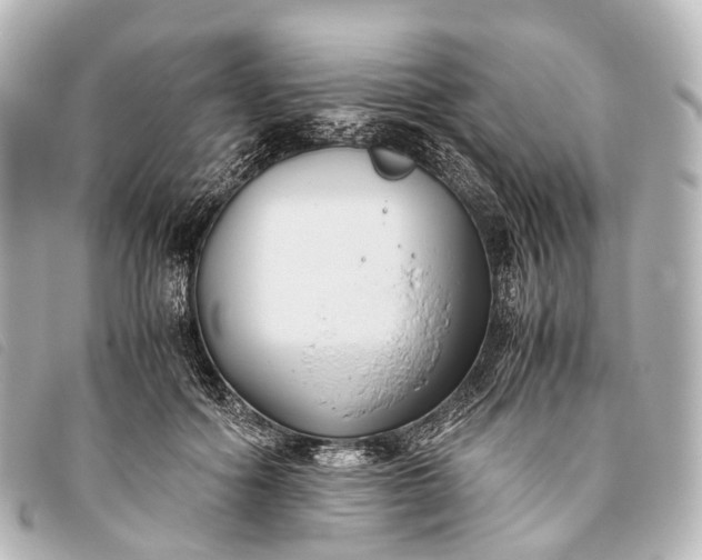 X0000093370602200710251155