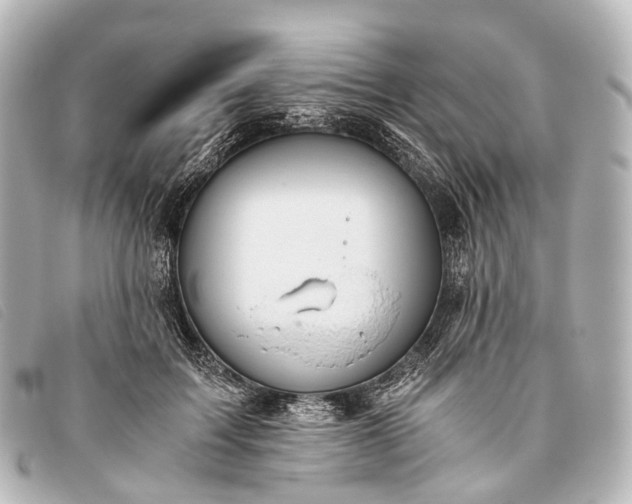 X0000093370603200710251155