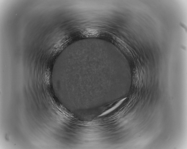 X0000093370604200710251155