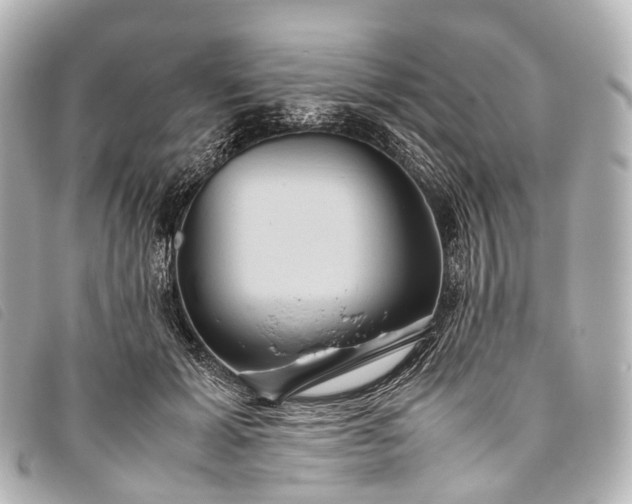 X0000093370605200710251155