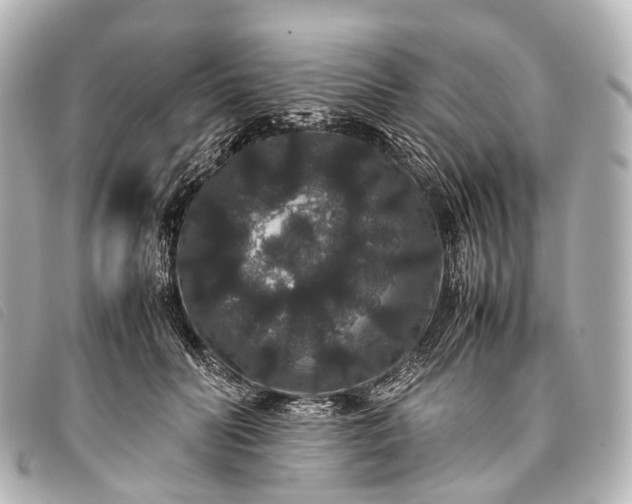 X0000093370606200710251155