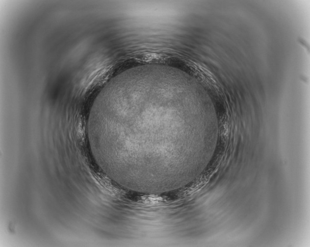 X0000093370607200710251155