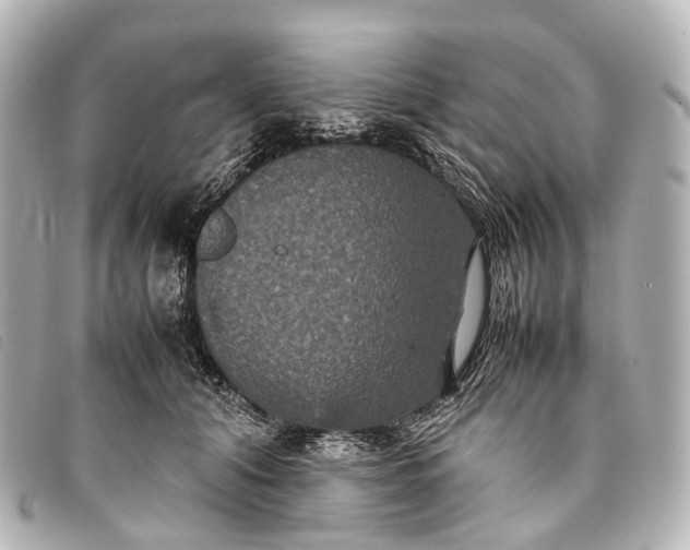 X0000093370608200710251155