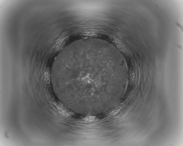 X0000093370609200710251155