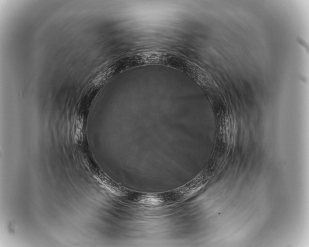 X0000093370610200710251155