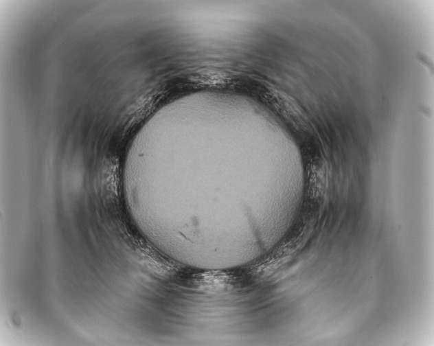 X0000093370612200710251155