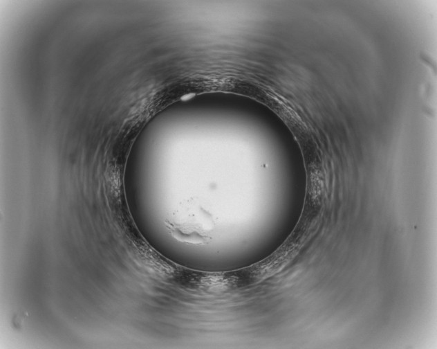 X0000093370613200710251155