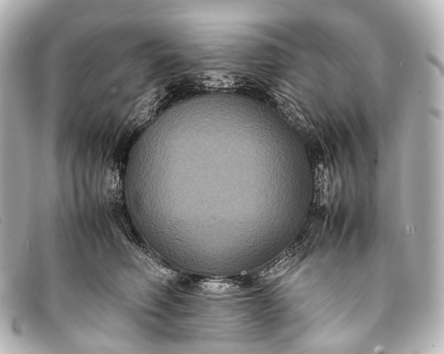 X0000093370614200710251155