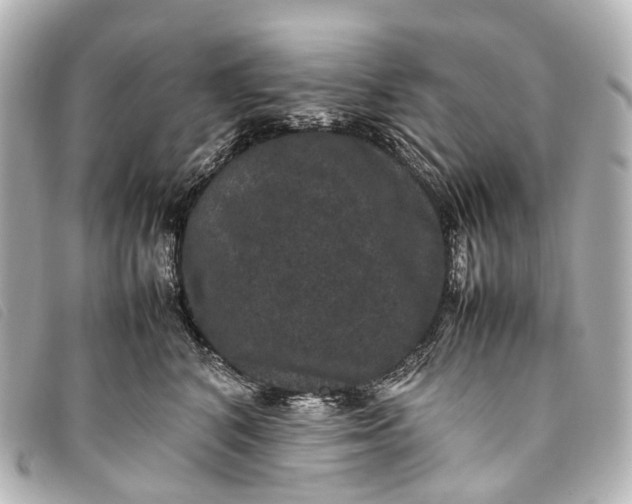 X0000093370616200710251155