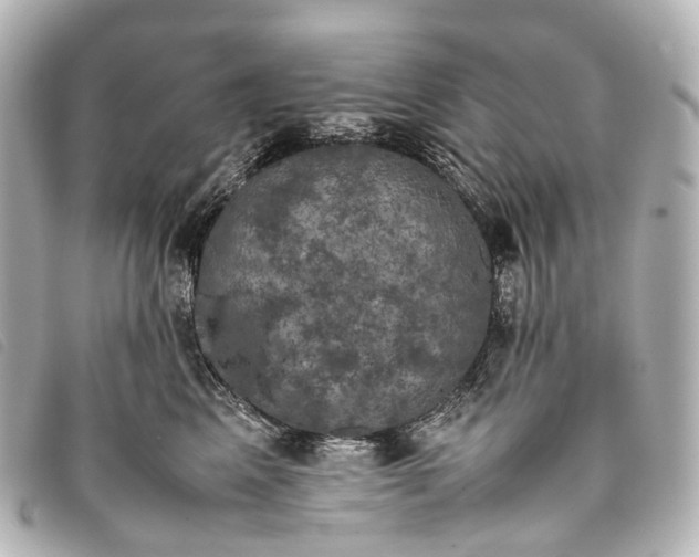 X0000093370617200710251155