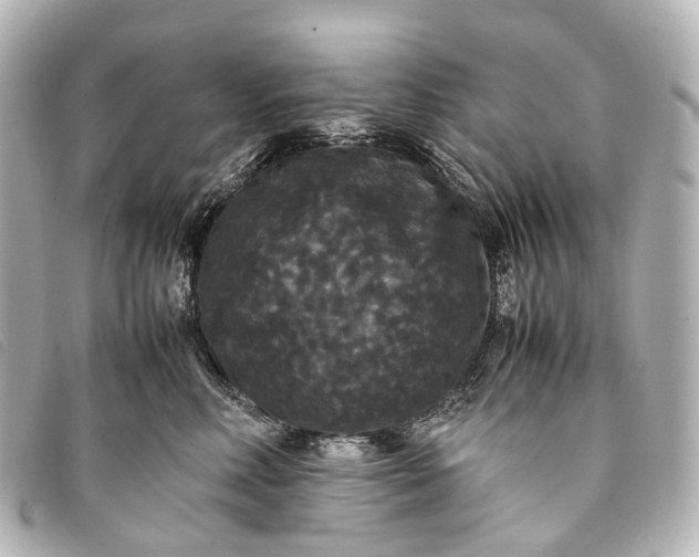 X0000093370618200710251155