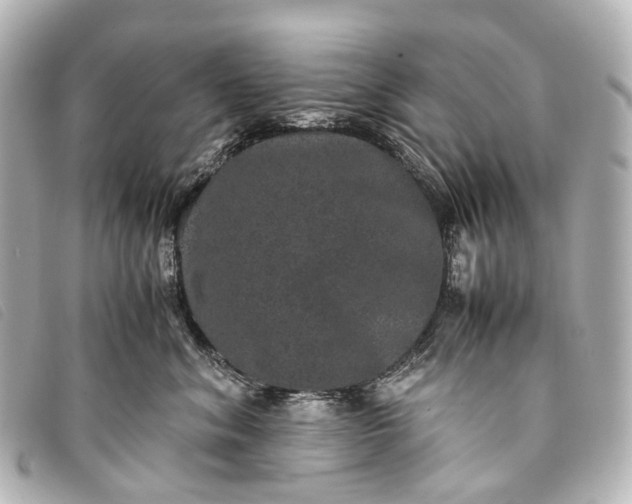 X0000093370620200710251155