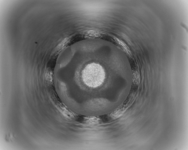 X0000093370621200710251155