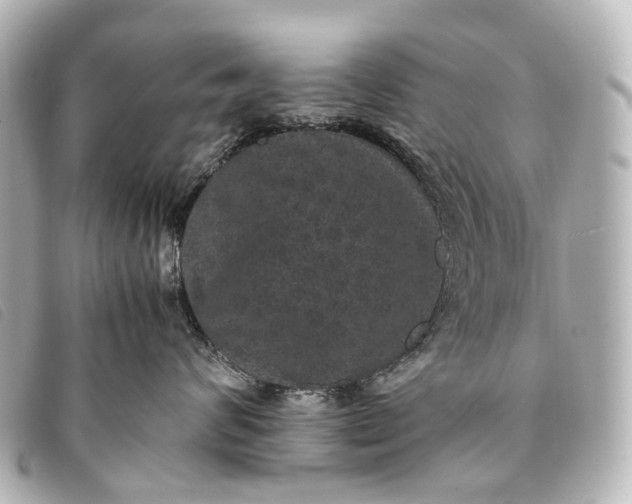 X0000093370624200710251155