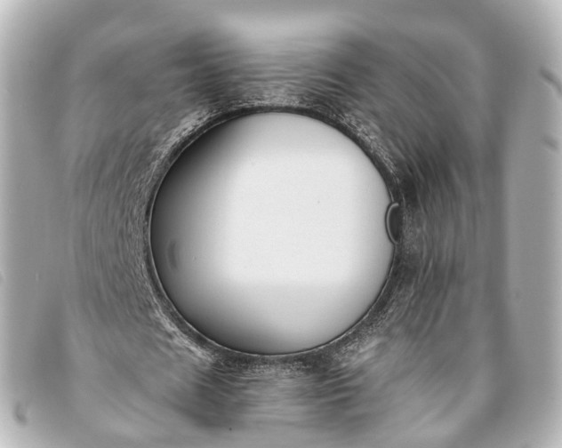 X0000093370625200710251154