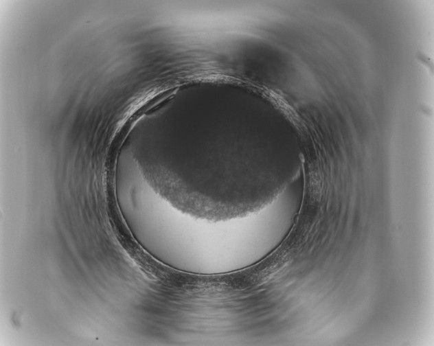 X0000093370626200710251154