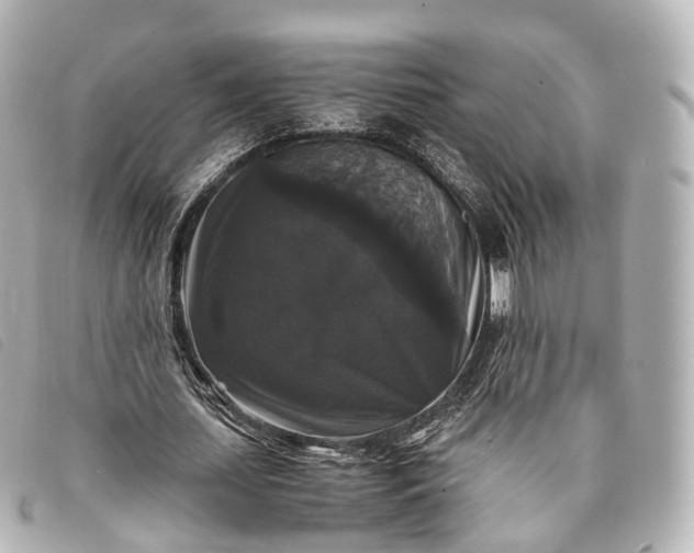 X0000093370627200710251154