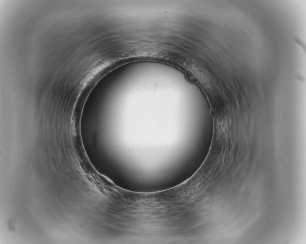 X0000093370628200710251154