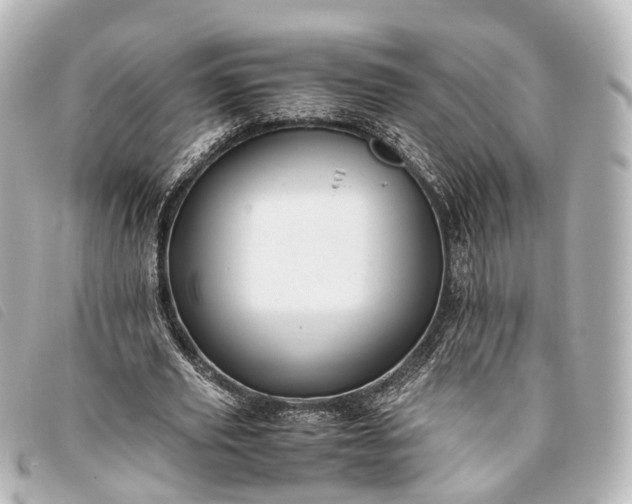 X0000093370629200710251154