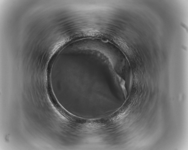 X0000093370630200710251154