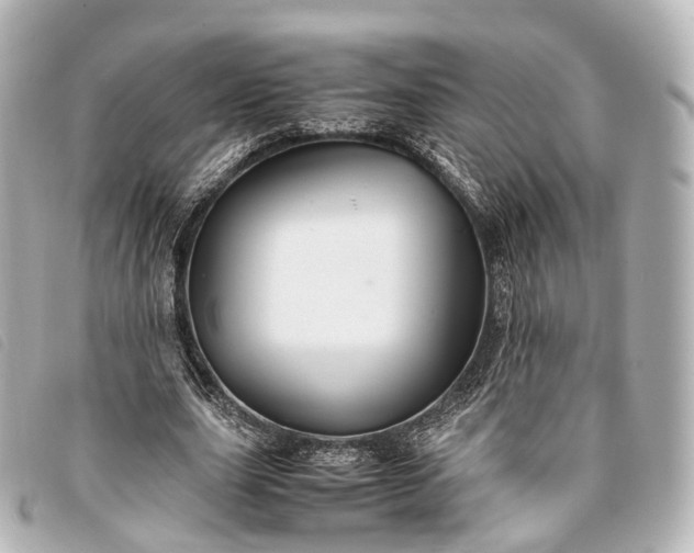 X0000093370631200710251154