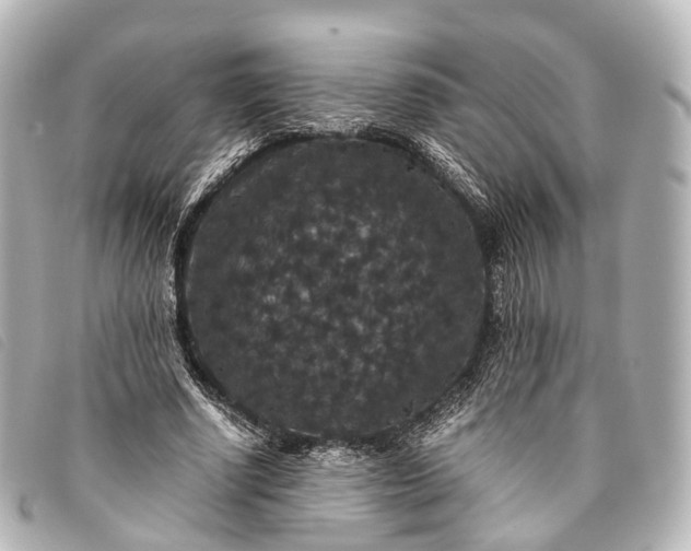 X0000093370634200710251154