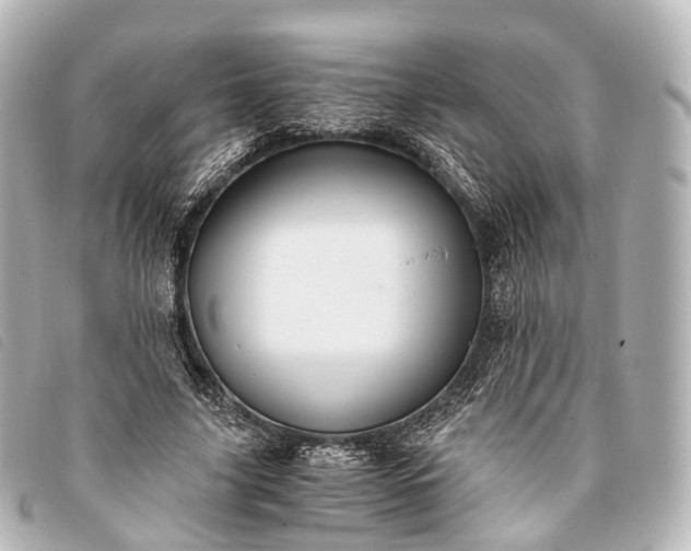 X0000093370635200710251154