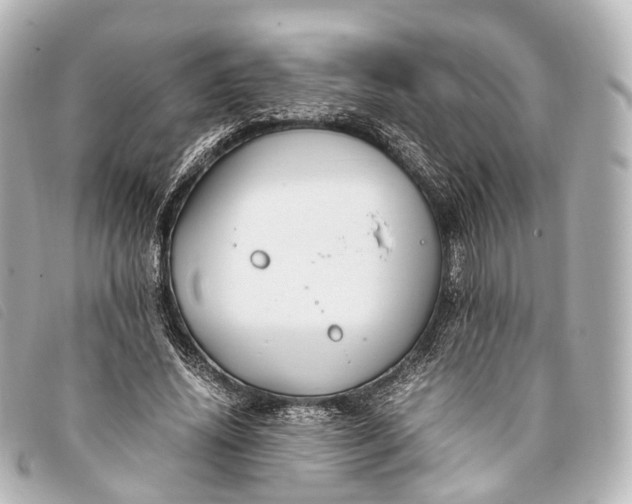 X0000093370636200710251154