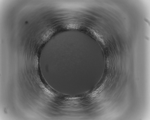 X0000093370637200710251154