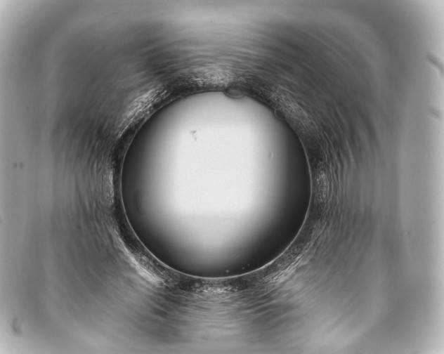 X0000093370638200710251154