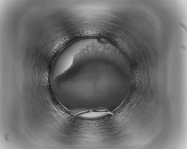 X0000093370640200710251154