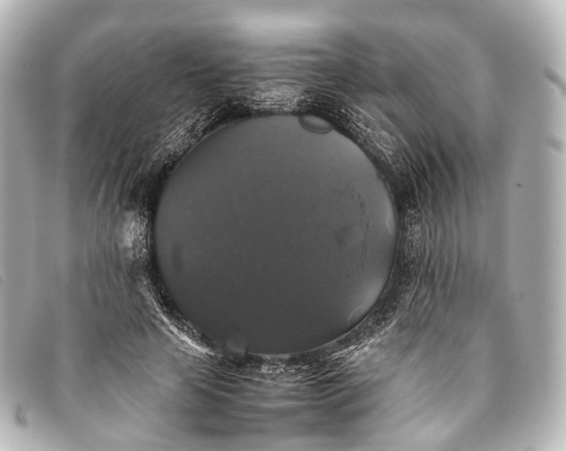 X0000093370641200710251154