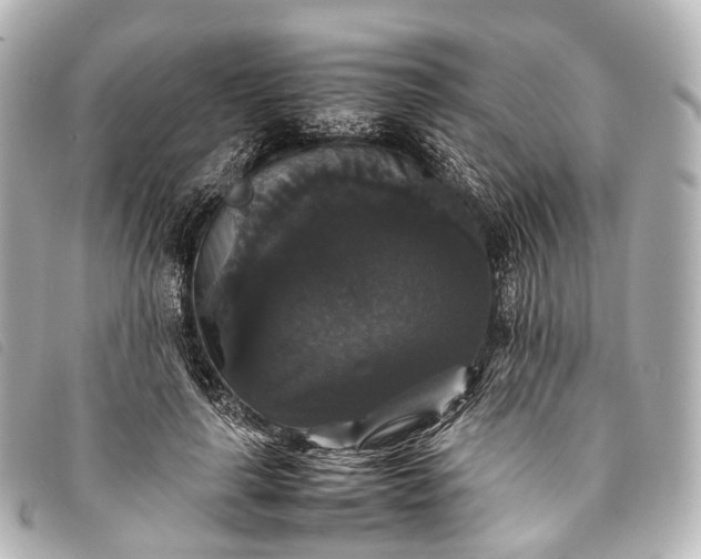 X0000093370643200710251154