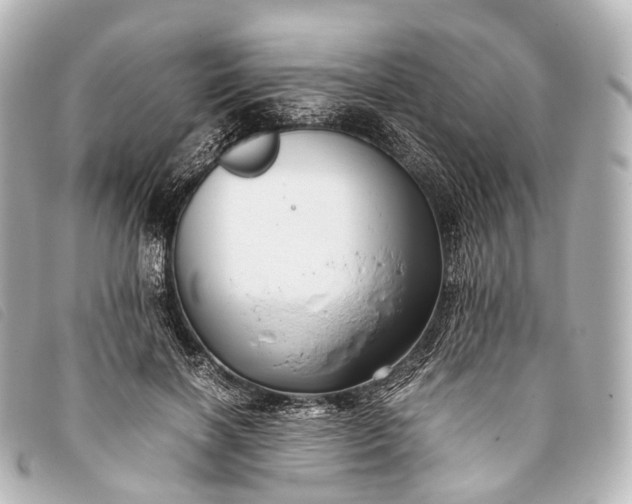 X0000093370646200710251154