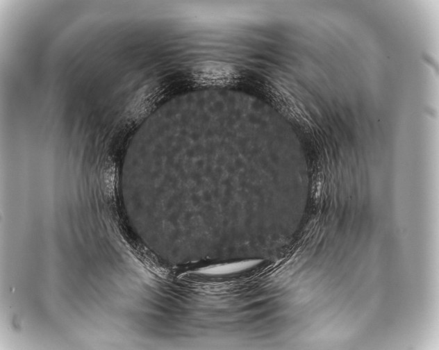 X0000093370647200710251154