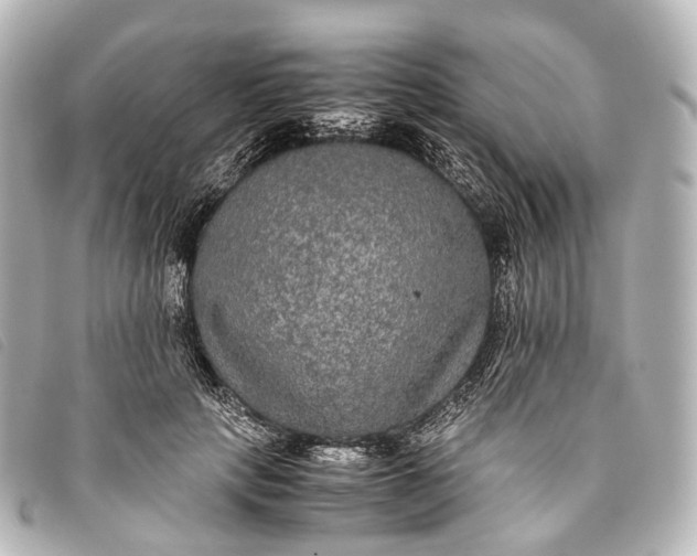 X0000093370649200710251154