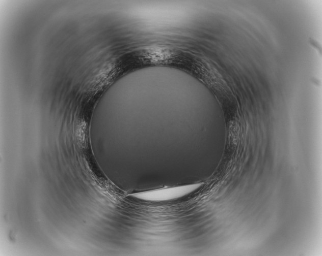 X0000093370650200710251154