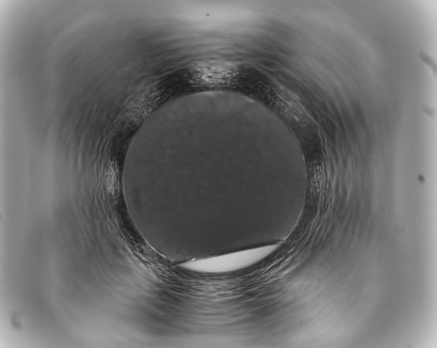 X0000093370651200710251154