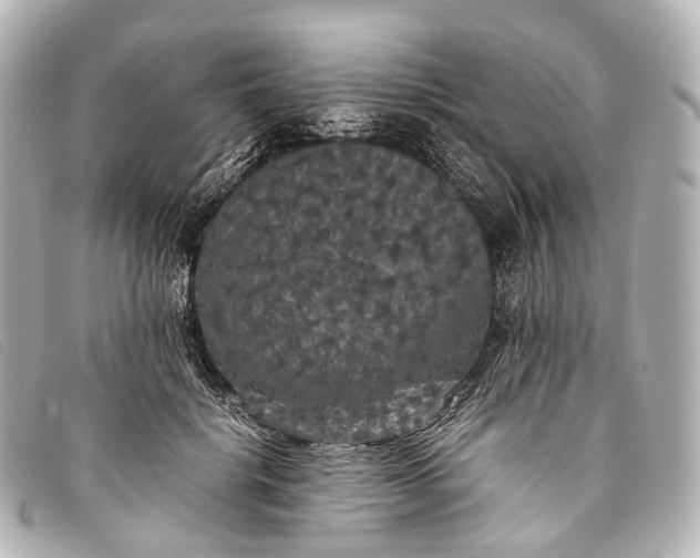 X0000093370652200710251154