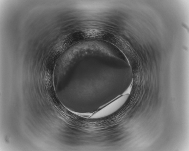 X0000093370653200710251154